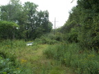 DCP_1308.JPG