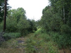 DCP_1309.JPG