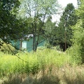 DCP_1343.JPG