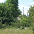 DCP_1345.JPG