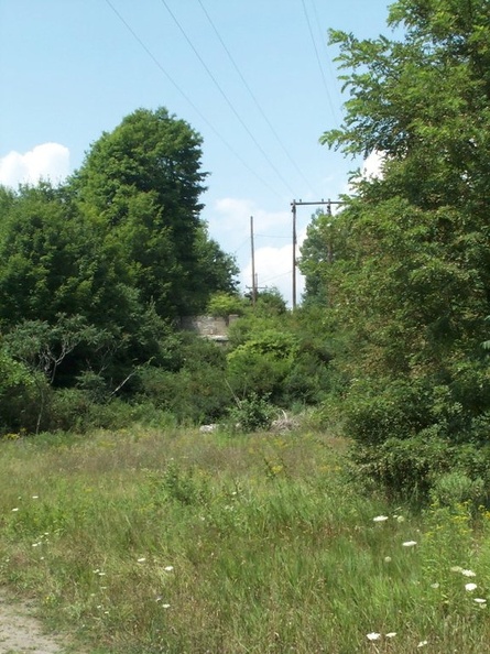 DCP_1346.jpg