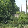 DCP_1347.JPG
