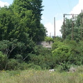 DCP_1350.JPG