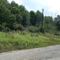 DCP_1352.JPG