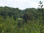DCP_1355.JPG