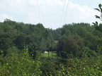 DCP_1356.JPG