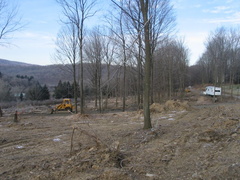 Looking roughly north up the Northern Electric R-O-W. Photo taken by Brian Weinberg, 12/26/2004.