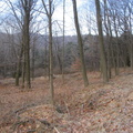 Looking roughly north up the Northern Electric R-O-W. Photo taken by Brian Weinberg, 12/26/2004.