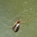DSC_7253a.jpg
