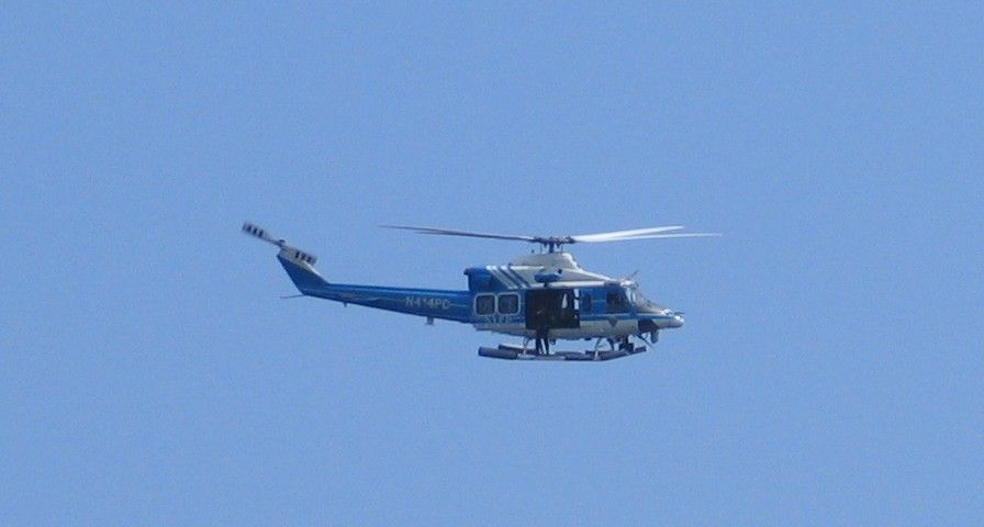 IMG_3737a.jpg