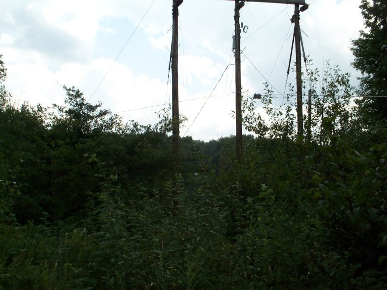 DCP_1298.jpg