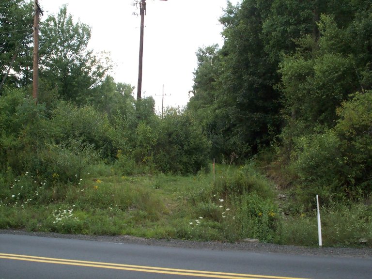 DCP_1300.jpg